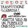 070407_report_scabrosa.jpg (6483 byte)