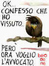 081101_confesso_avvocato_morv.jpg (6465 byte)