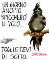 090505_ toglietevi di sotto morv.jpg (12136 byte)